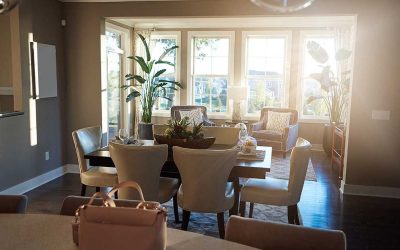 The Florida Sun Factor: Choosing Energy-Efficient Windows for Tampa Bay’s Climate